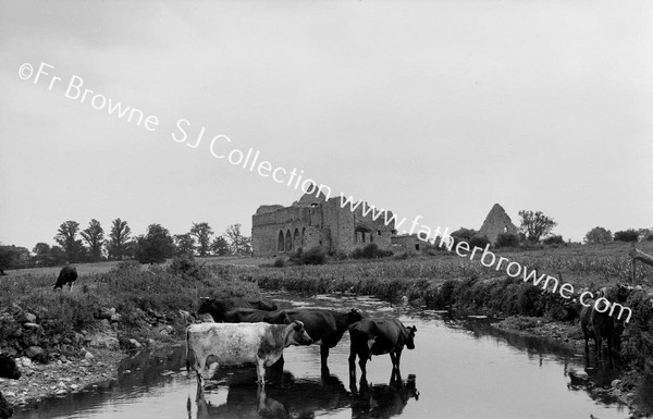 NEAR CROOM DISTANT VIEW FROM N.E. RIVER